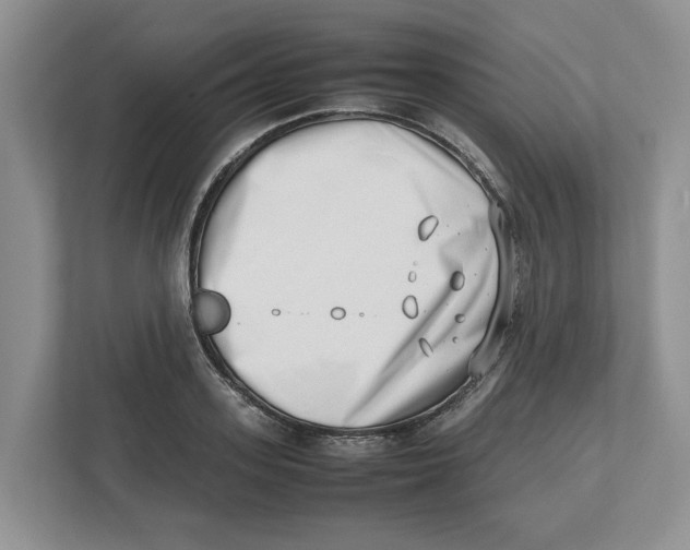 X0000112490939200909141201