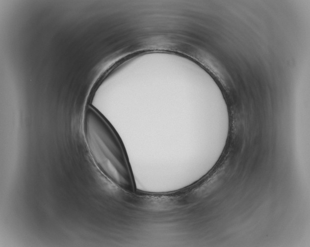 X0000112490940200909141201