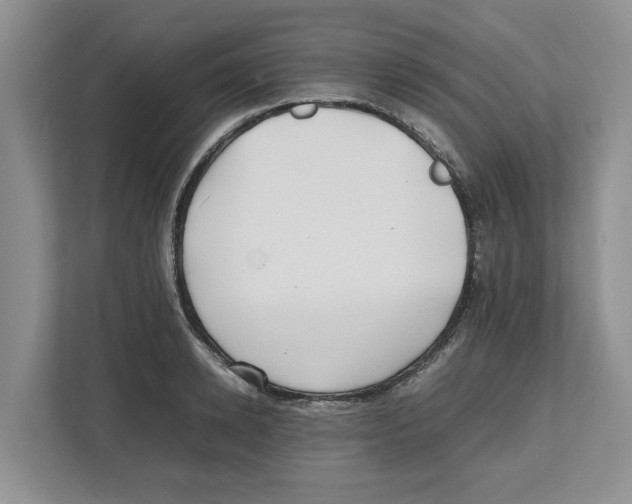 X0000112490942200909141201