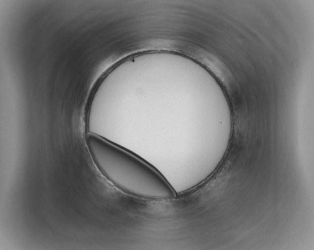 X0000112490944200909141201
