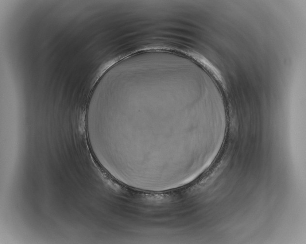 X0000112490945200909141201