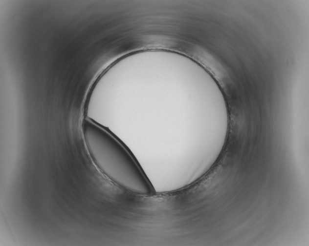 X0000112490948200909141201