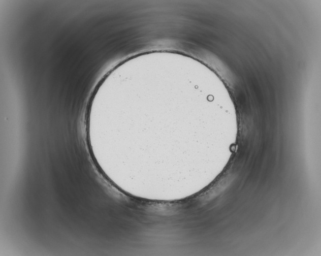 X0000112490950200909141201
