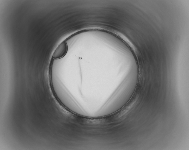 X0000112490951200909141201