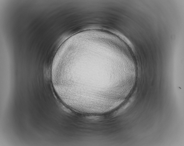 X0000112490953200909141201