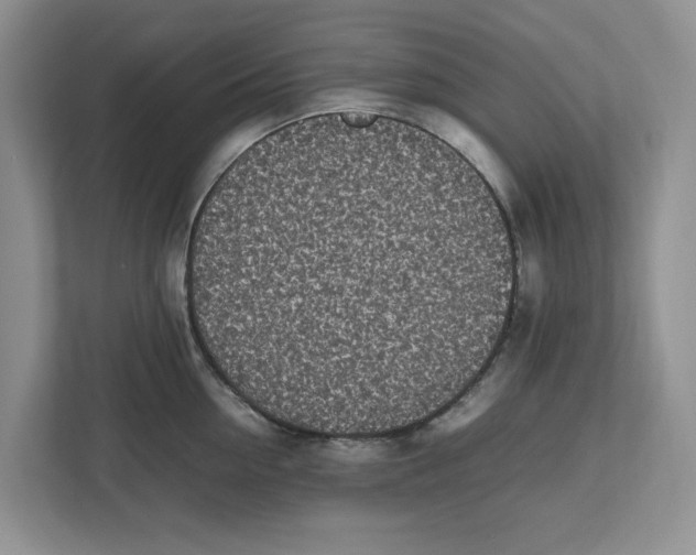 X0000112490954200909141201