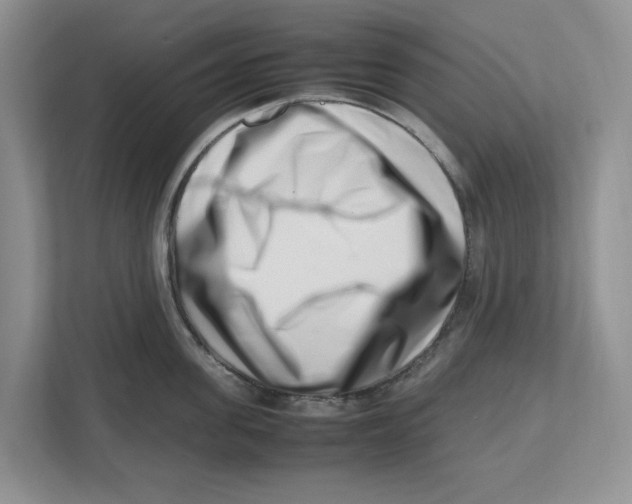 X0000112490955200909141201