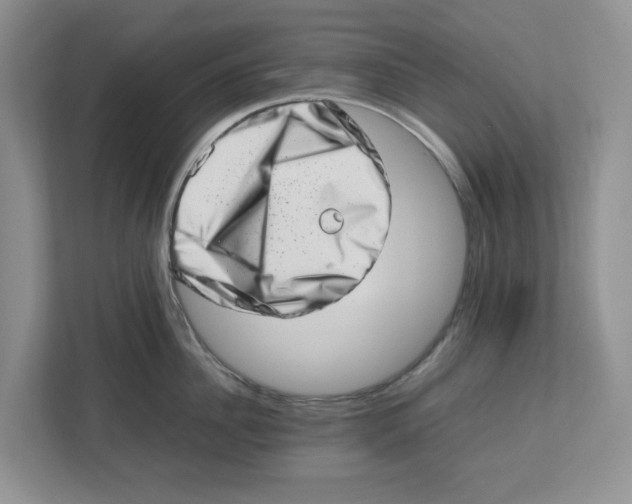 X0000112490956200909141201