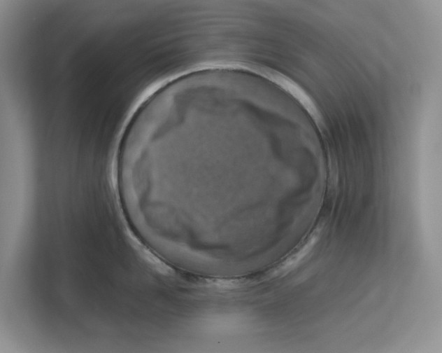 X0000112490958200909141201
