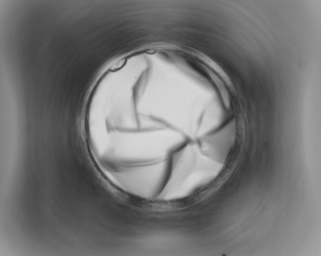 X0000112490959200909141201
