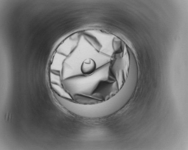 X0000112490960200909141201