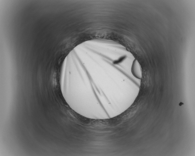 X0000112490962200909141200