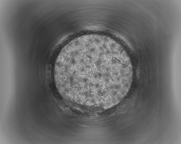 X0000112490968200909141200