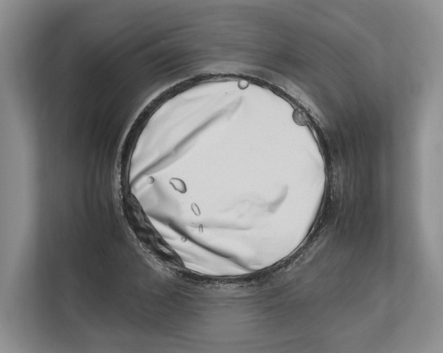 X0000112490976200909141200