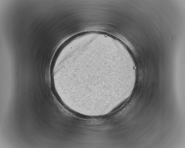 X0000112490980200909141200