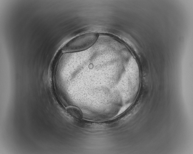 X0000112490981200909141200