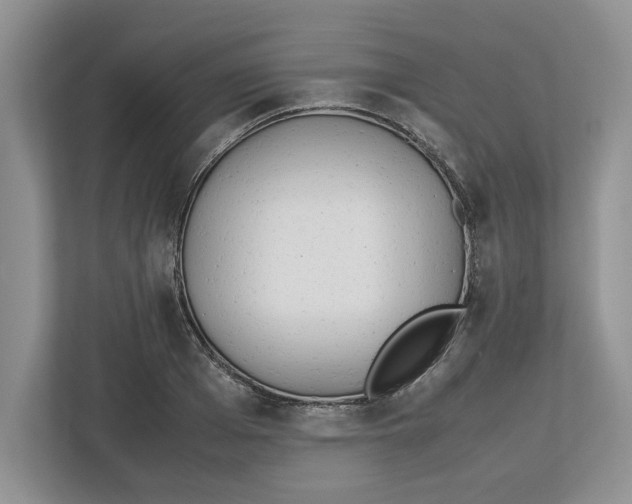 X0000112490985200909141200