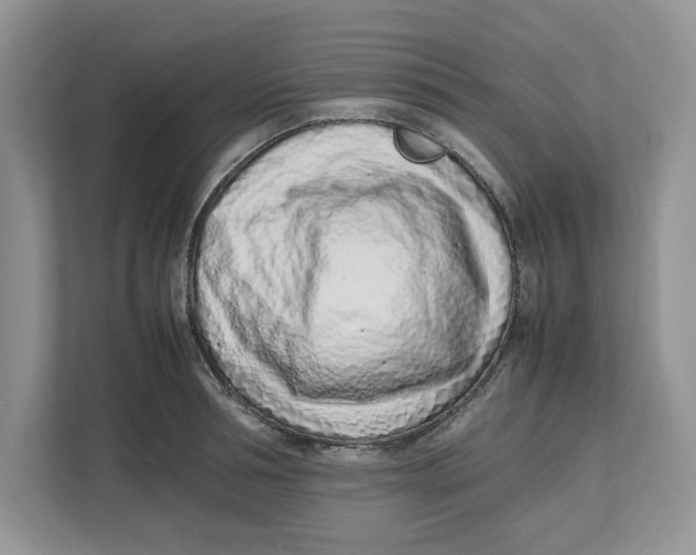 X0000112490994200909141200