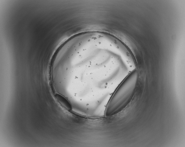 X0000112490997200909141200