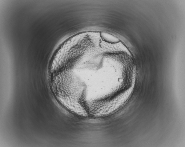 X0000112490998200909141200