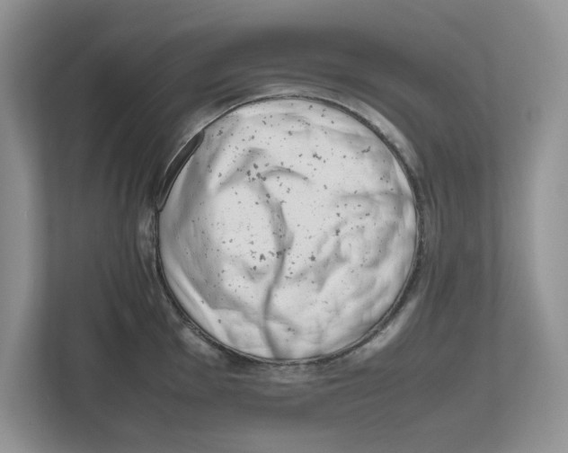 X0000112491001200909141200