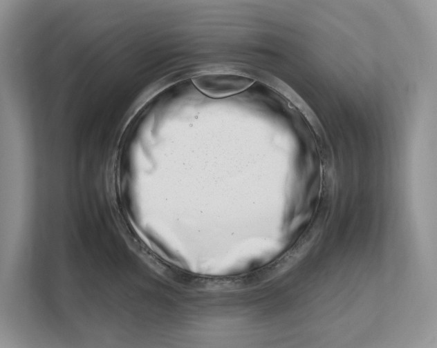 X0000112491002200909141200