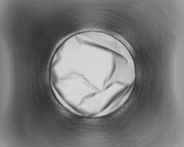 X0000112491004200909141200