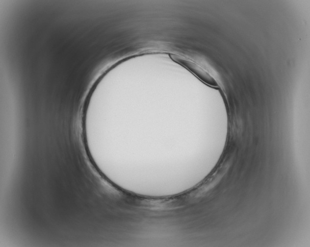 X0000112491005200909141200