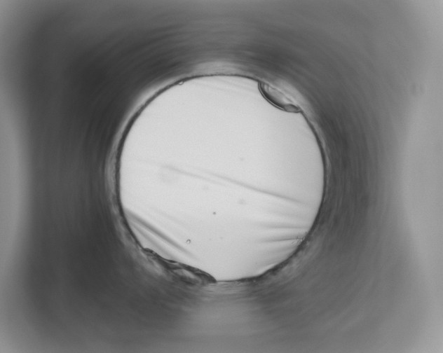 X0000112491008200909141200