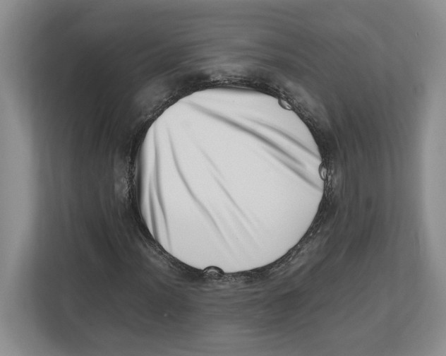 X0000112491012200909141159