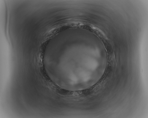 X0000112491013200909141159