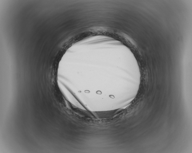 X0000112491016200909141159