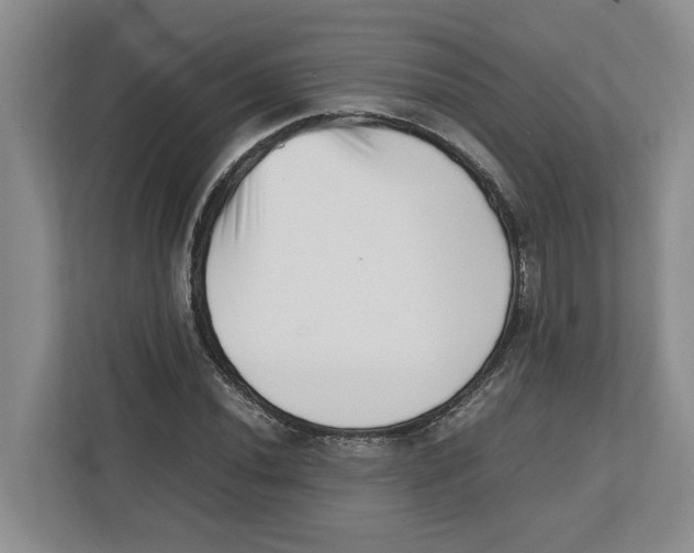 X0000112491020200909141159