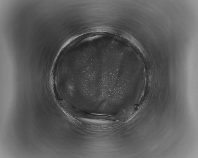 X0000112491024200909141159