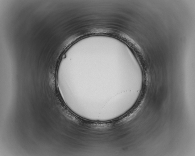 X0000112491025200909141159