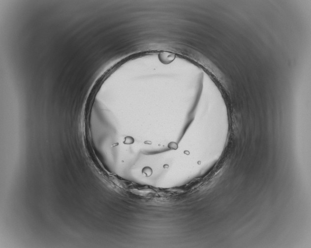 X0000112491028200909141159