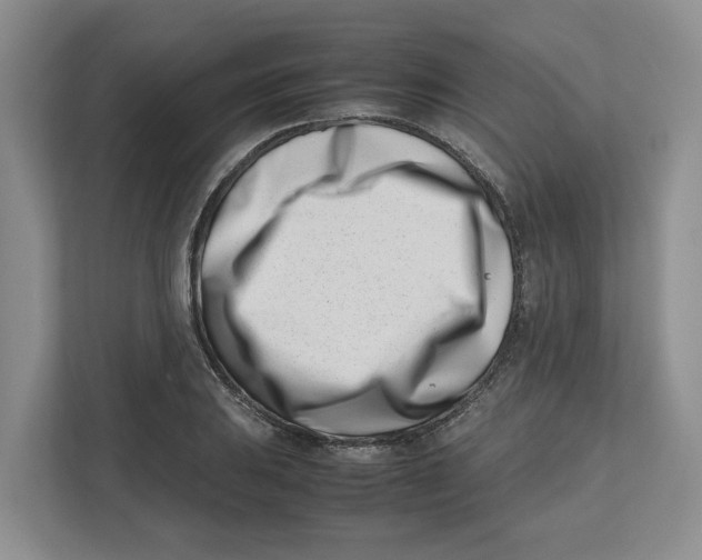 X0000112491031200909141159