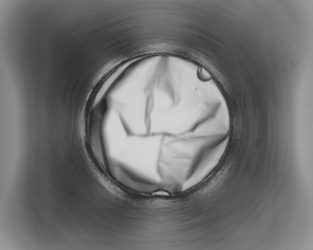 X0000112491034200909141159