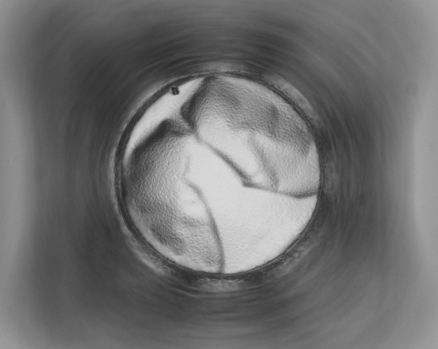X0000112491039200909141159