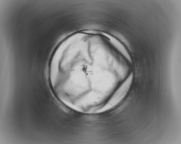 X0000112491040200909141200