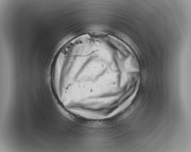 X0000112491042200909141200
