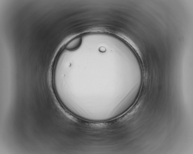 X0000112491045200909141200