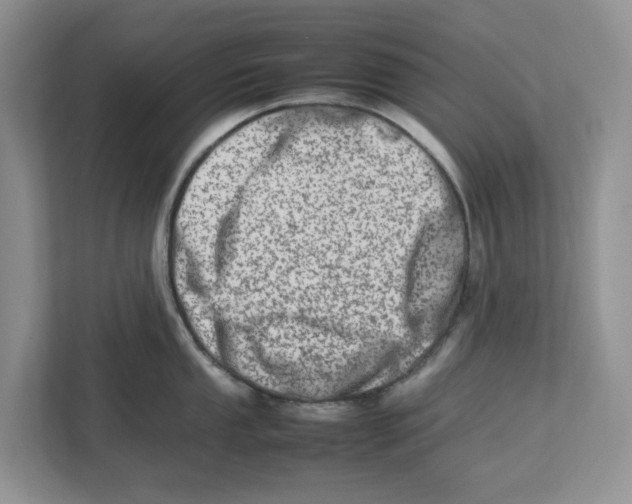 X0000112491053200909141200