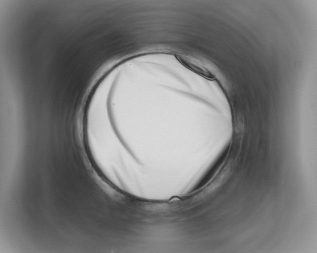 X0000112491054200909141200