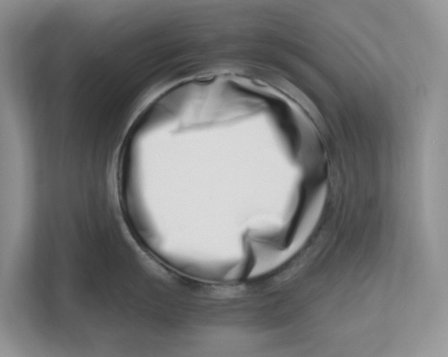 X0000112491055200909141200