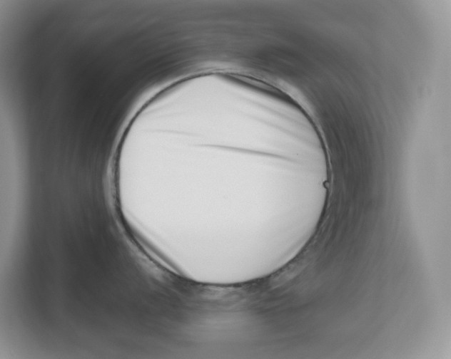 X0000112491056200909141200