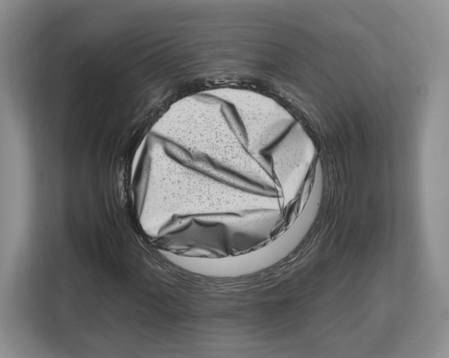 X0000112491060200909141159
