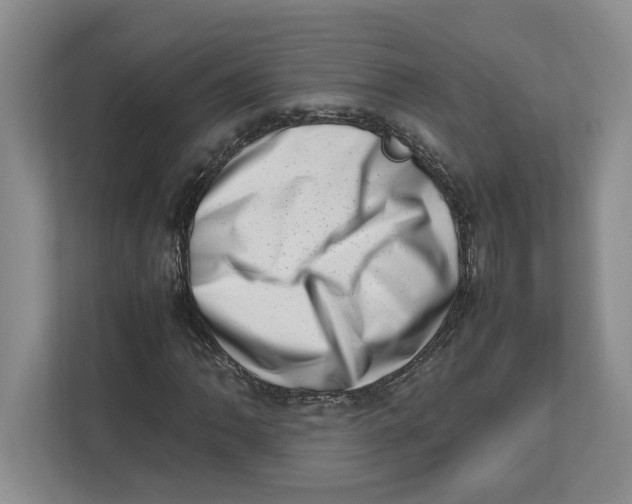 X0000112491062200909141159