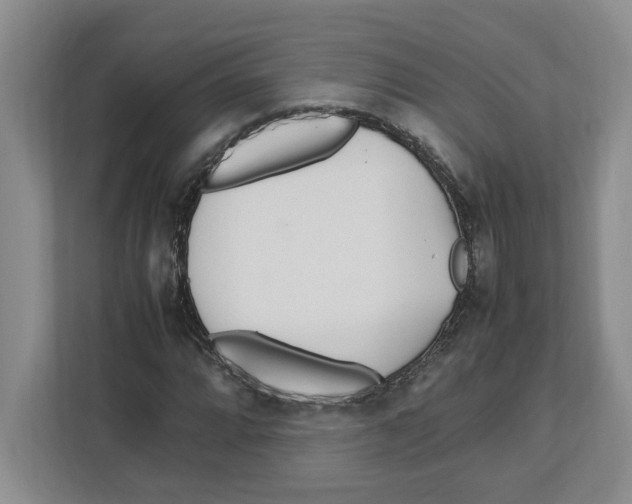 X0000112491064200909141159
