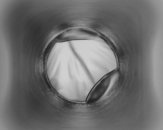 X0000112491069200909141159